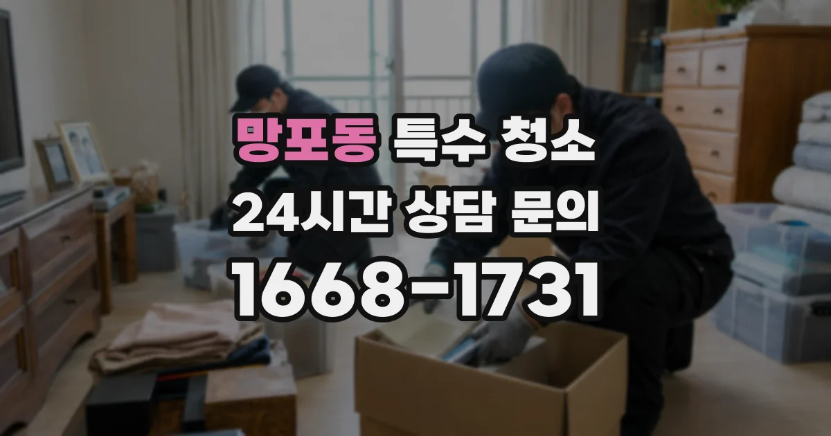 망포동 특수 청소