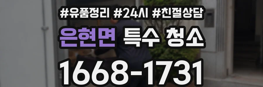 은현면 특수 청소