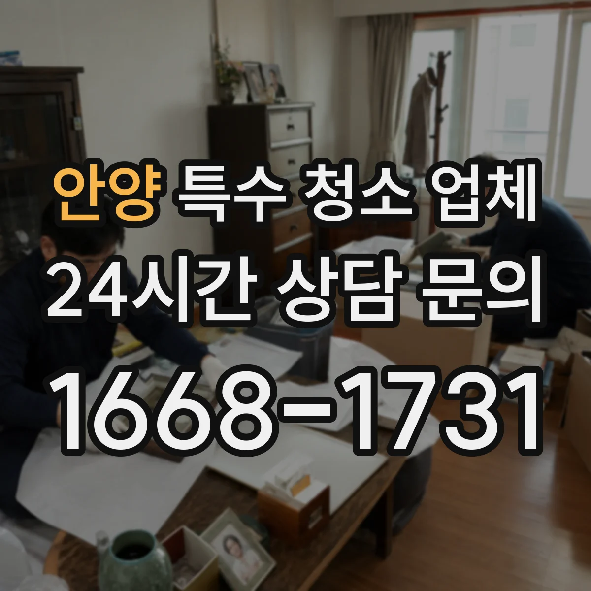 안양 특수 청소 업체 특수오염·악취 제거 가능한 영역 안내
