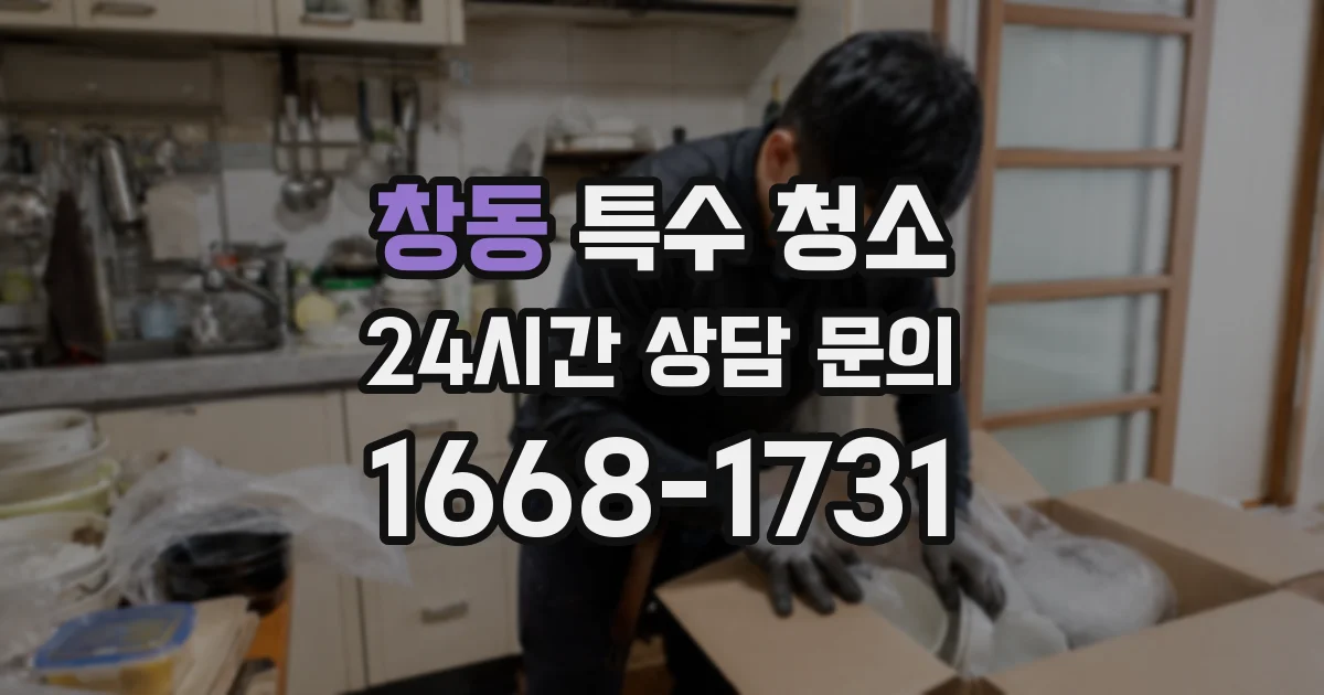 창동 특수 청소
