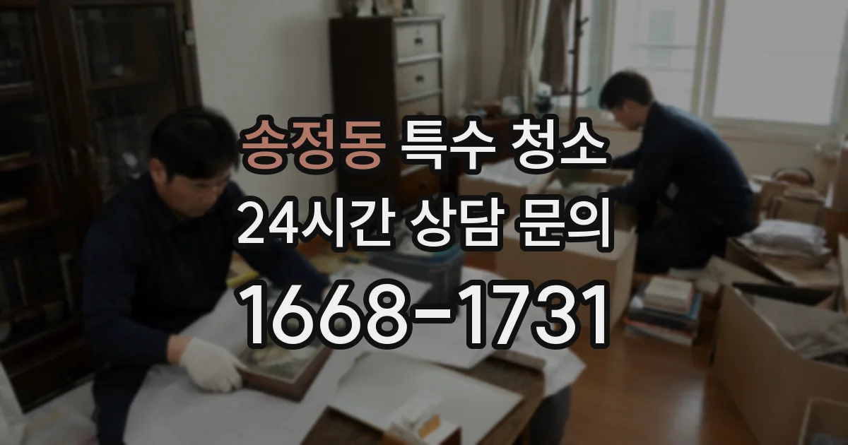 송정동 특수 청소