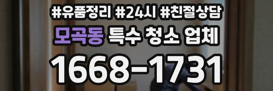 모곡동 특수 청소 업체