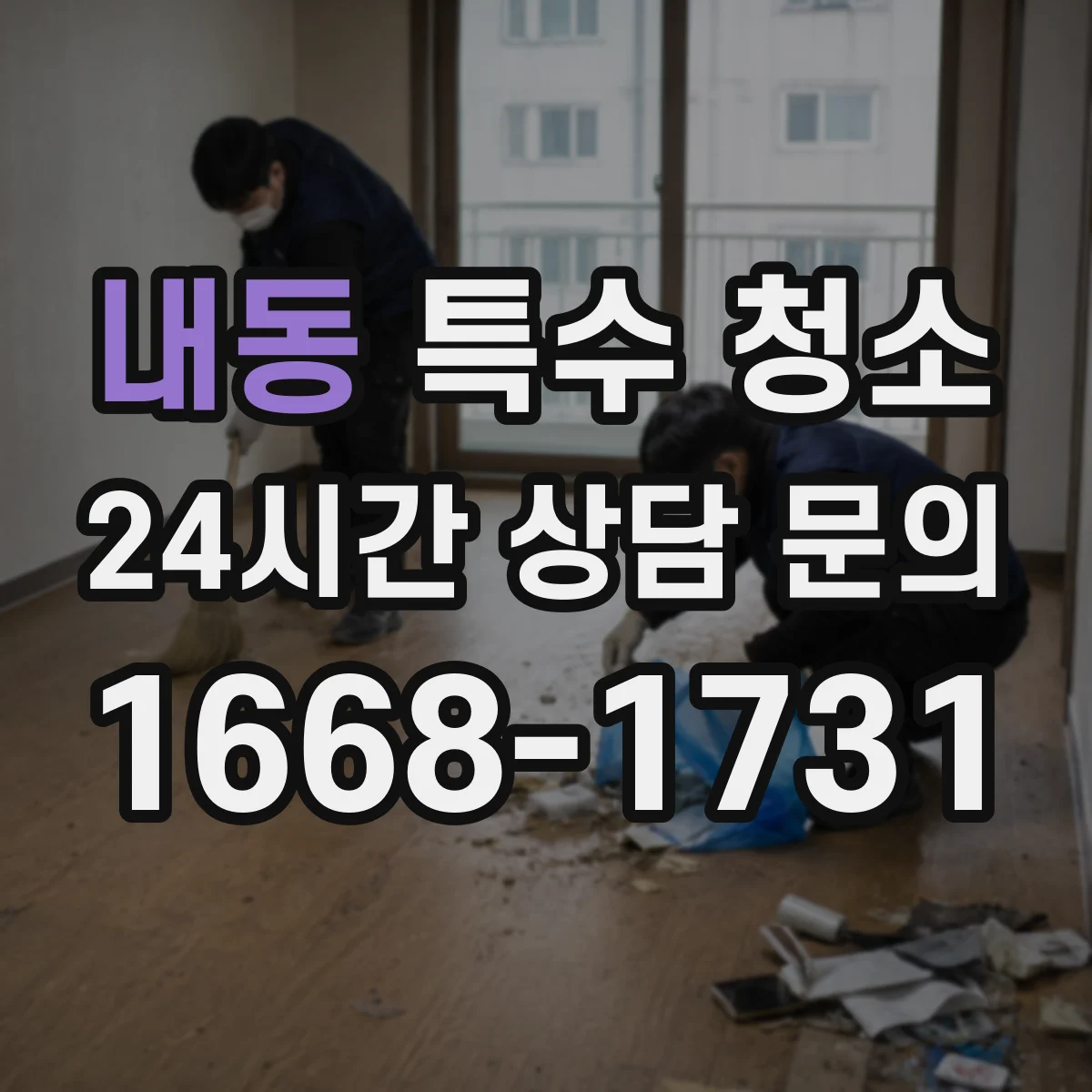 내동 특수 청소