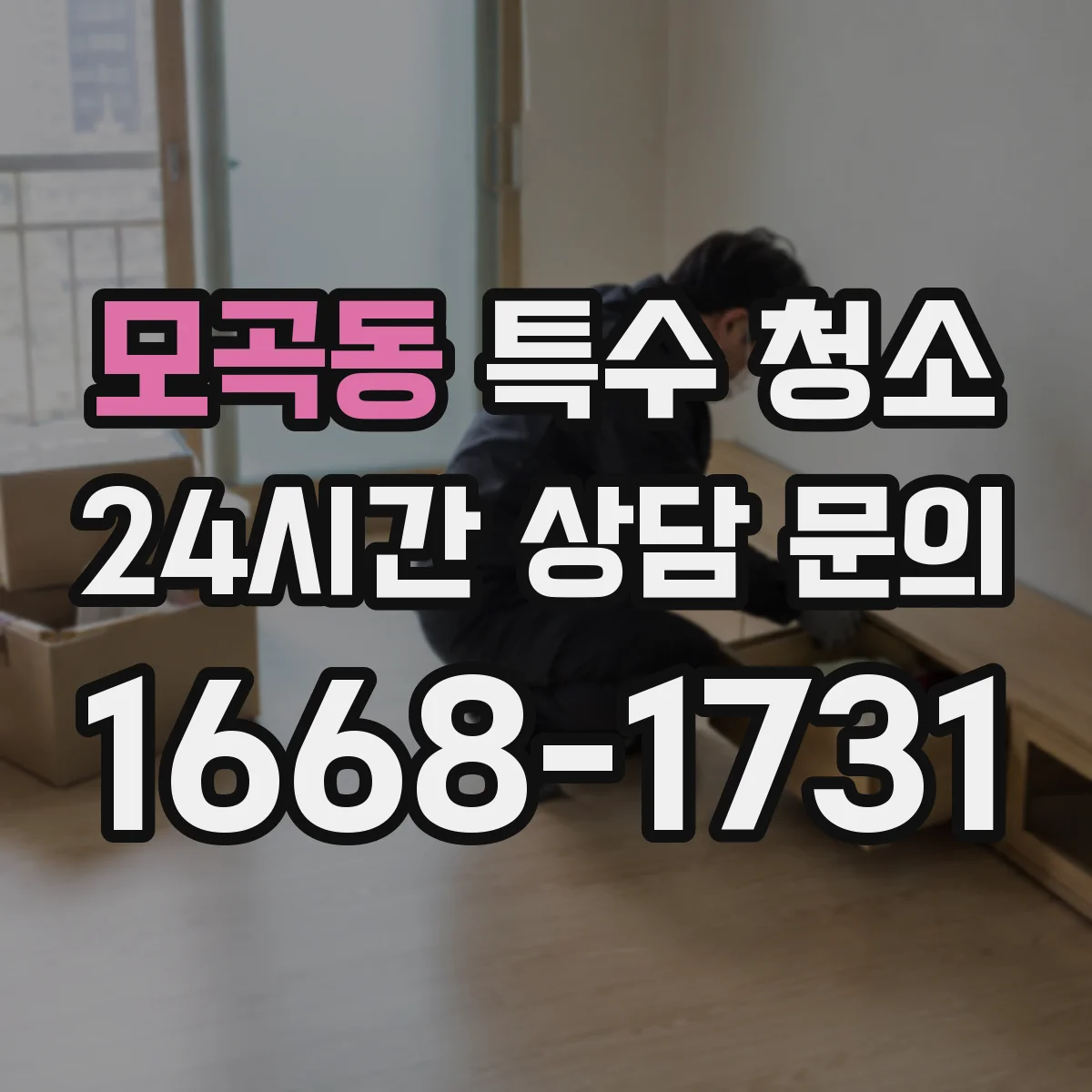 모곡동 특수 청소