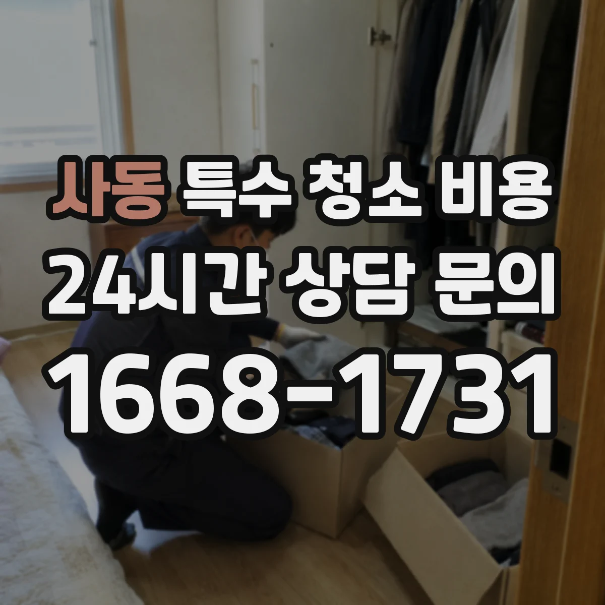 사동 특수 청소 비용