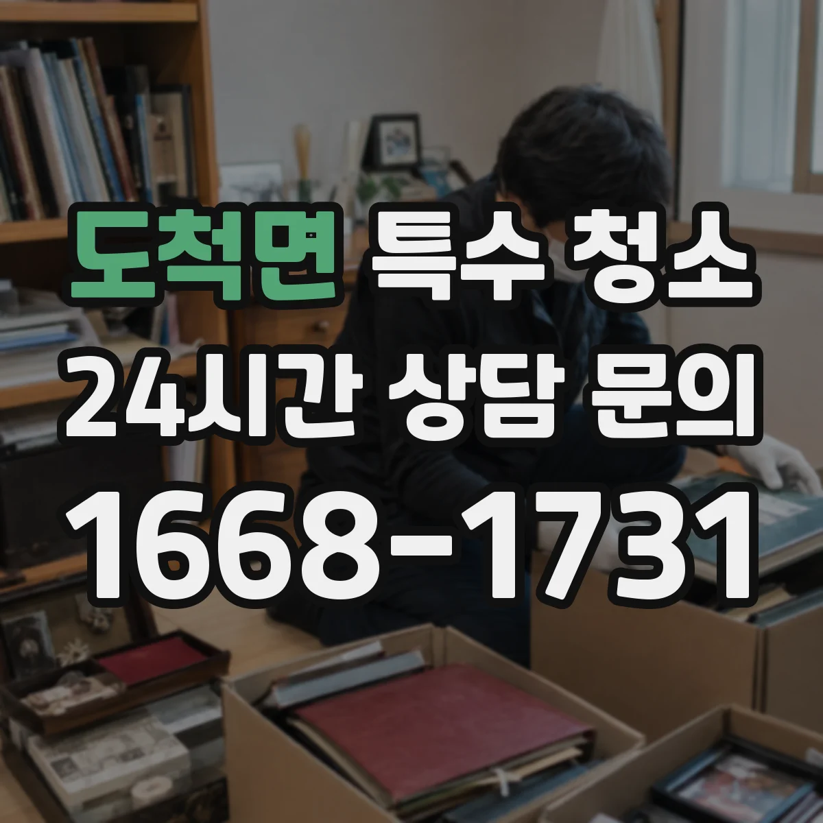 도척면 특수 청소
