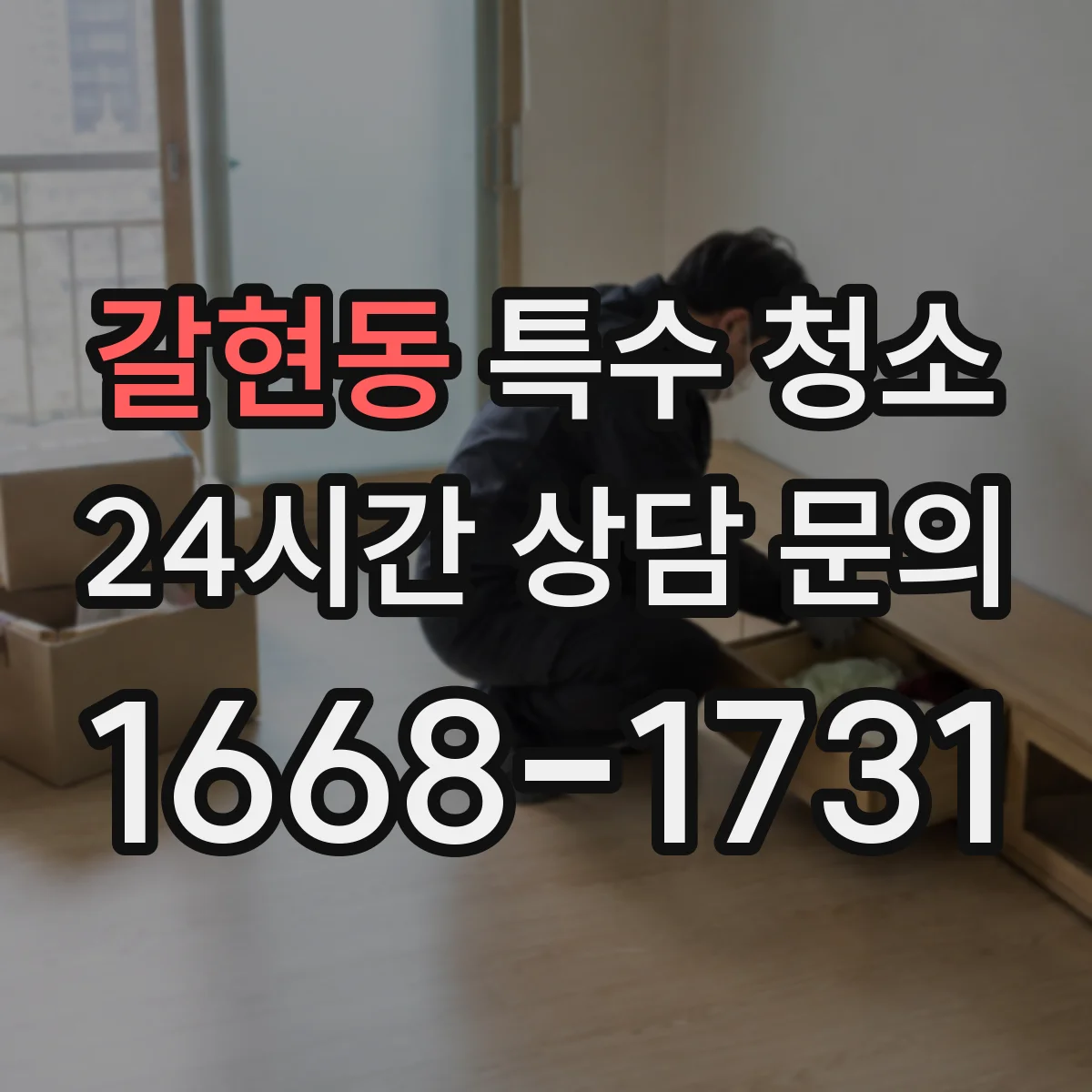 갈현동 특수 청소