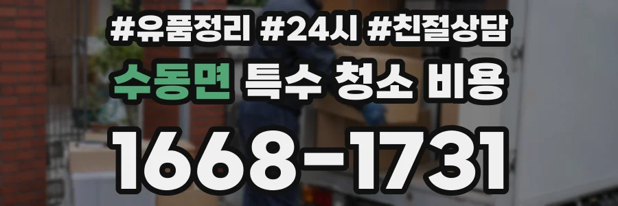 수동면 특수 청소 비용
