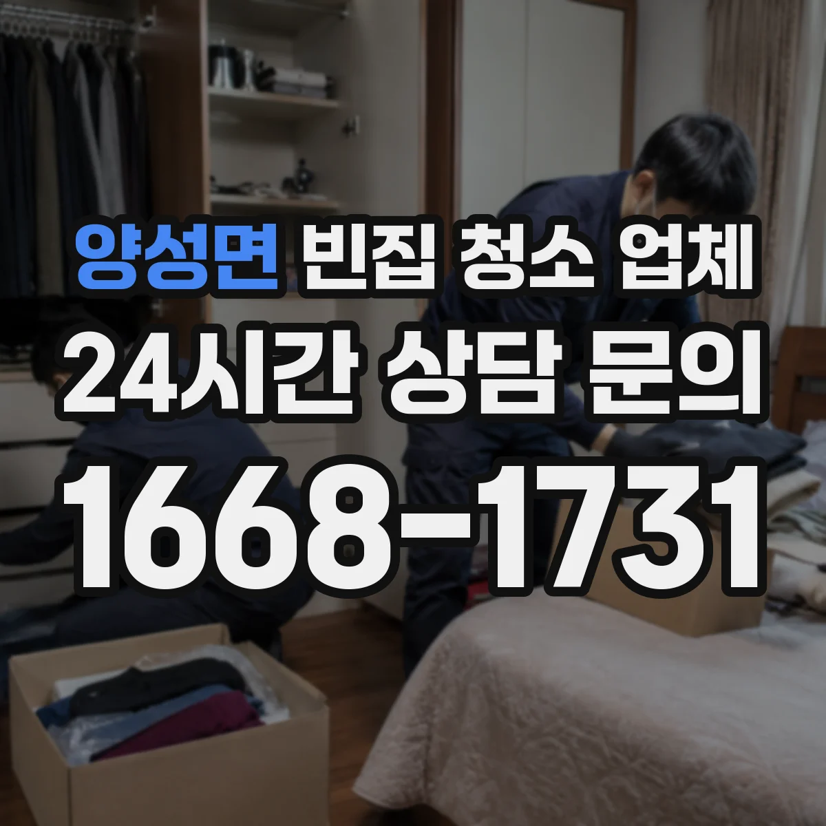 양성면 빈집 청소 업체