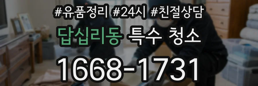 답십리동 특수 청소