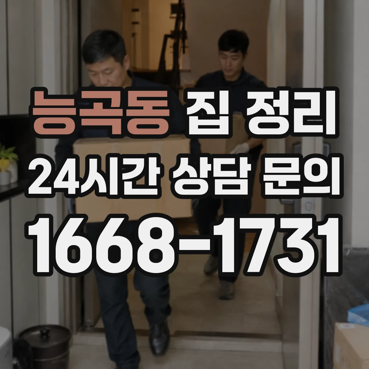 능곡동 집 정리