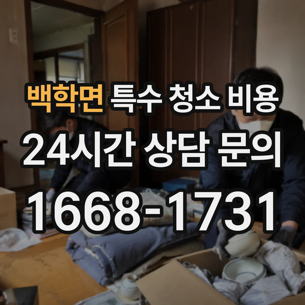 백학면 특수 청소 비용