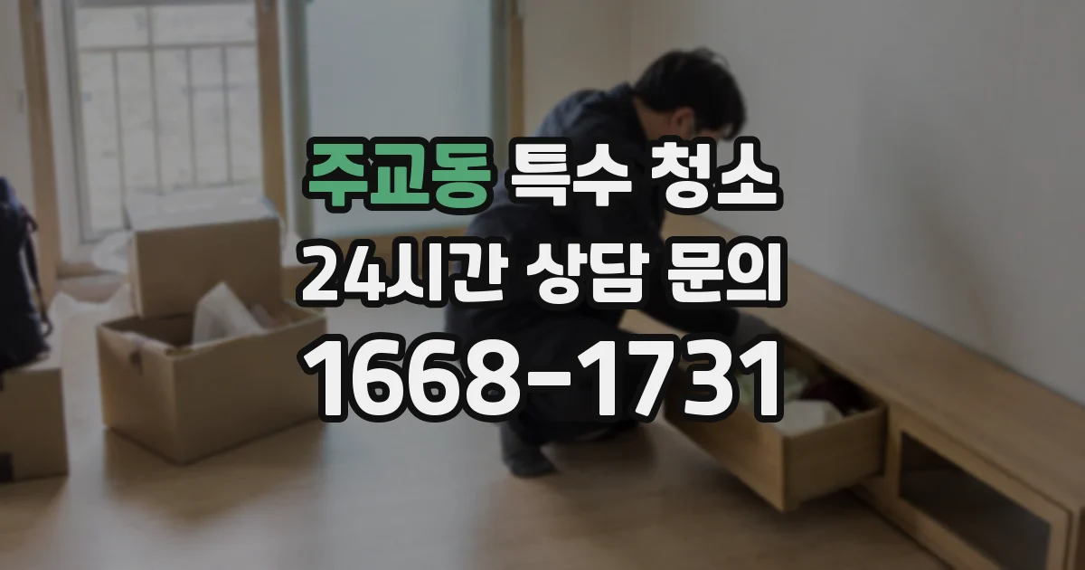 주교동 특수 청소