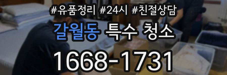 갈월동 특수 청소