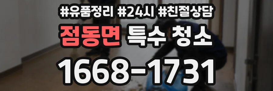 점동면 특수 청소