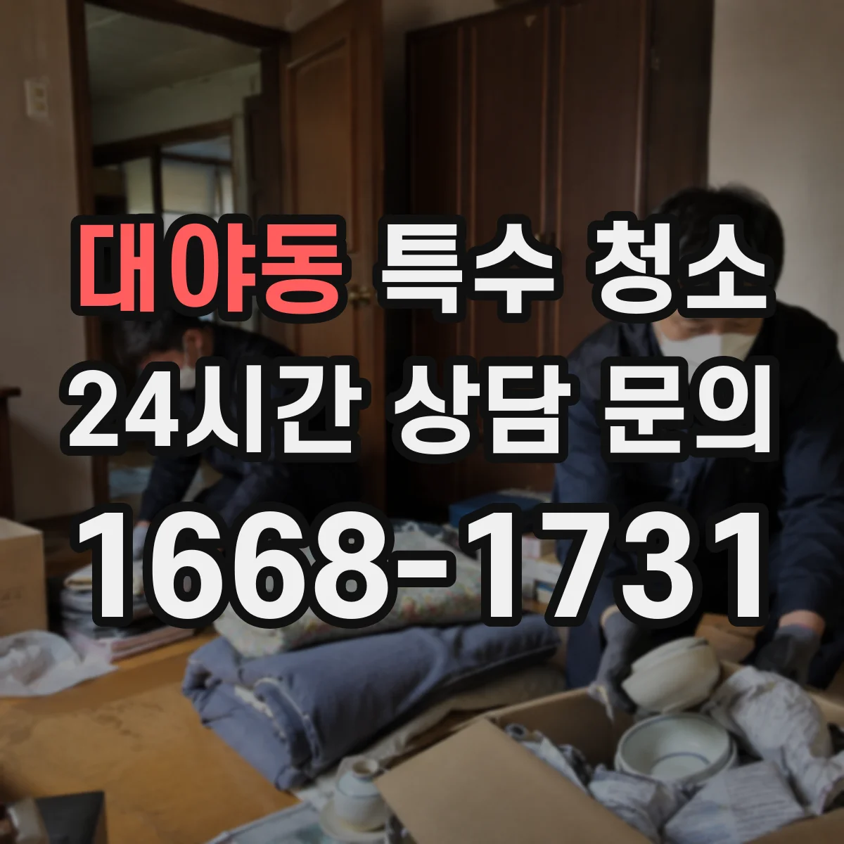대야동 특수 청소