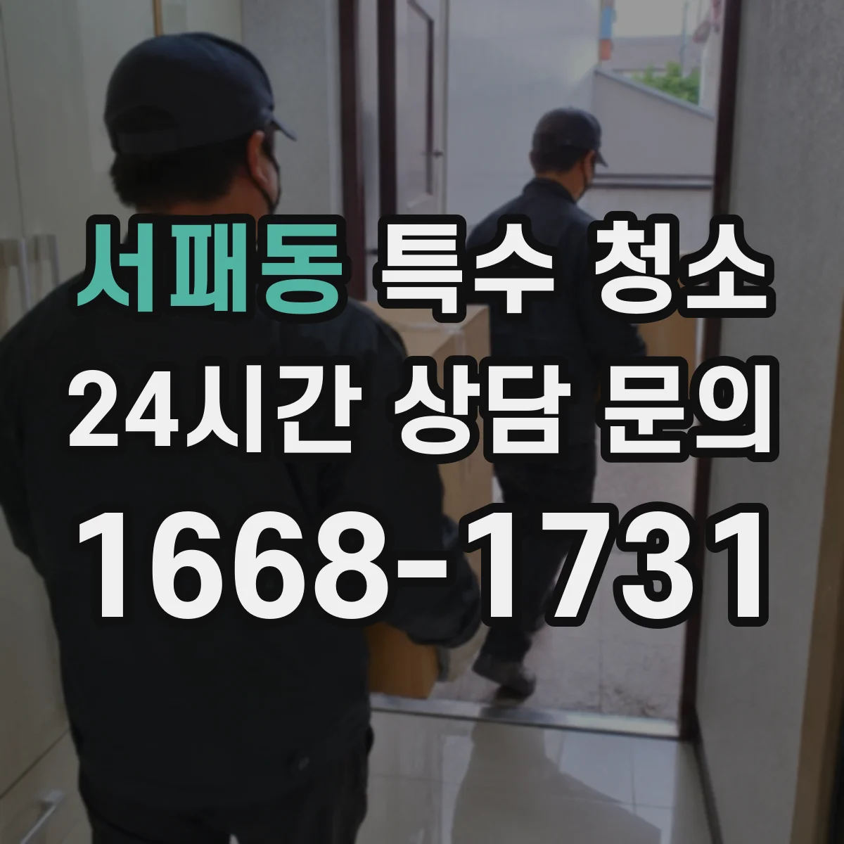 서패동 특수 청소