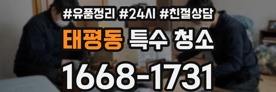 태평동 특수 청소