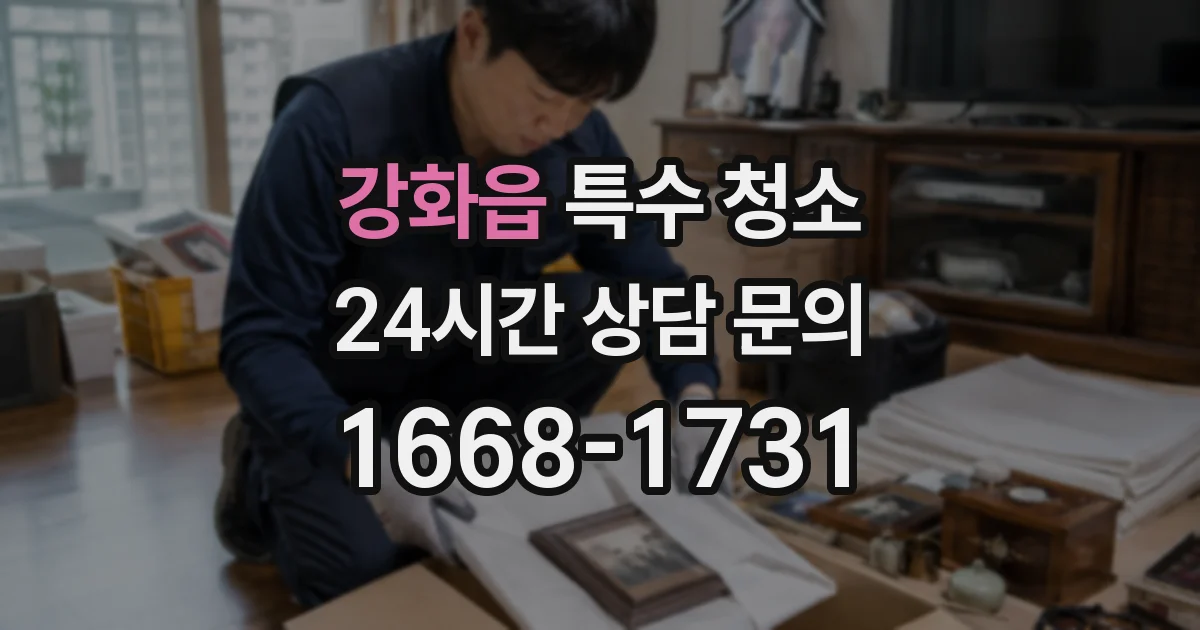 강화읍 특수 청소