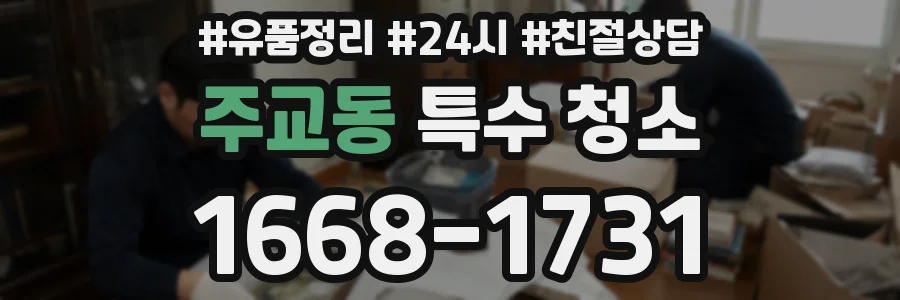 주교동 특수 청소