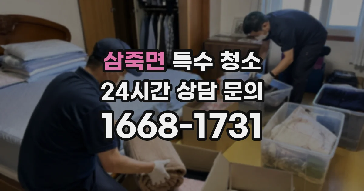 삼죽면 특수 청소
