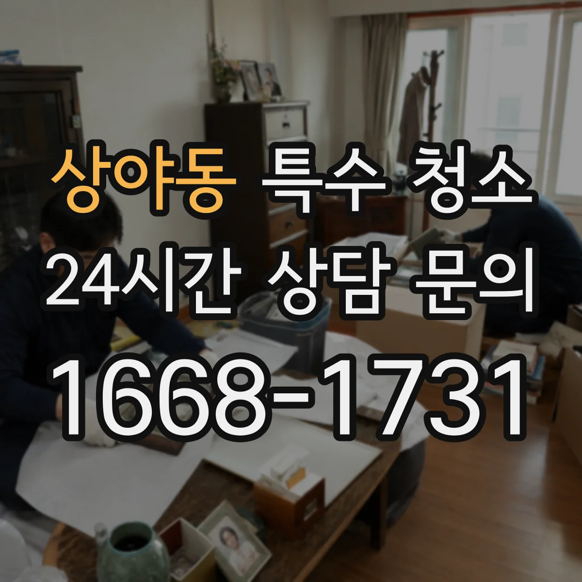 상야동 특수 청소
