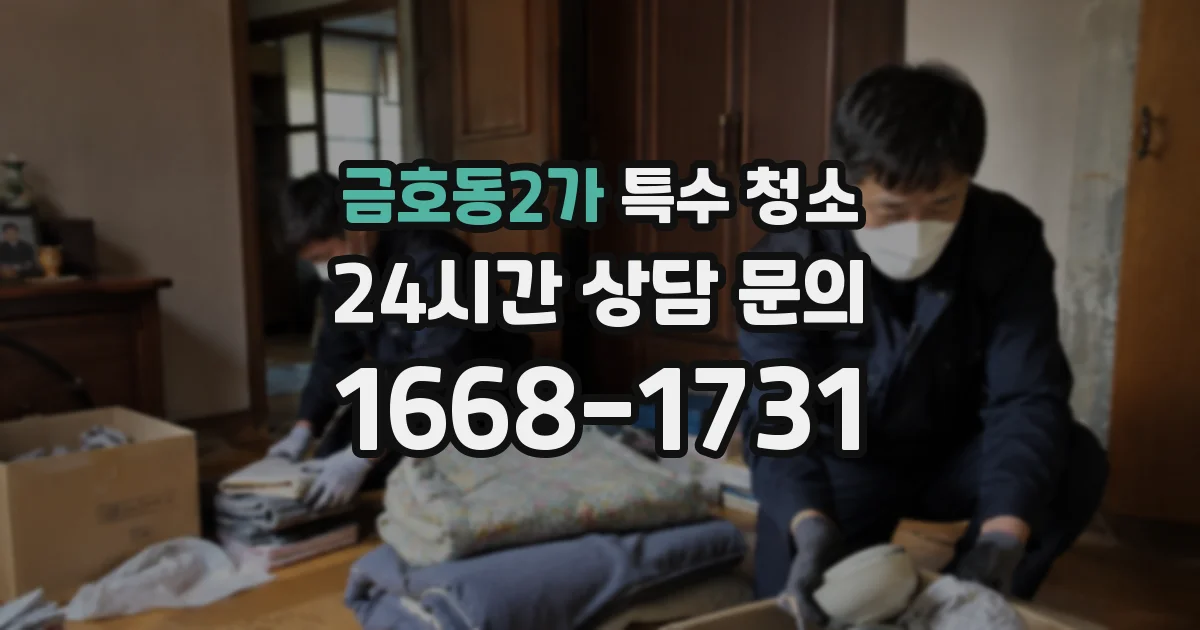 금호동2가 특수 청소