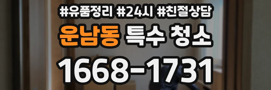 운남동 특수 청소