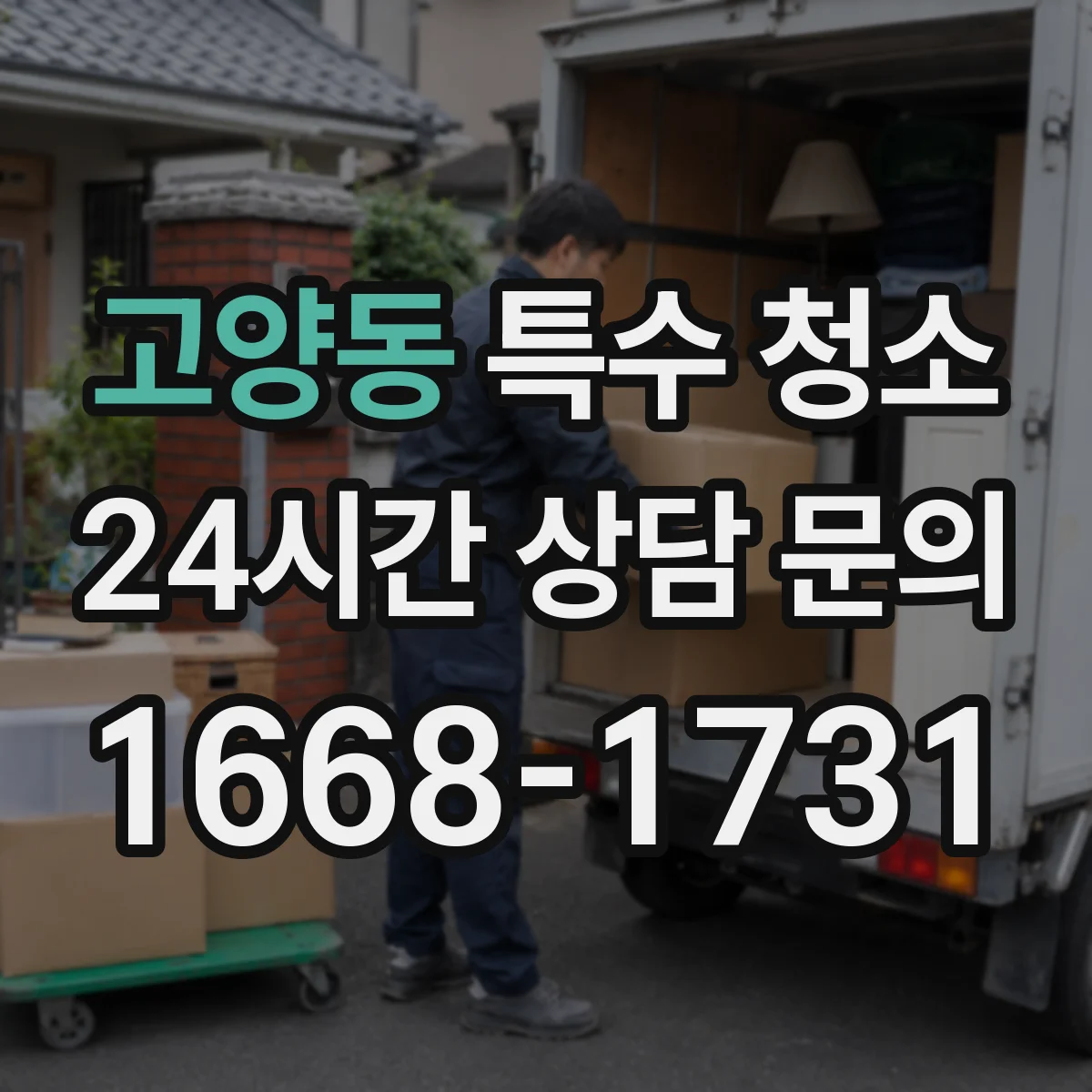 고양동 특수 청소