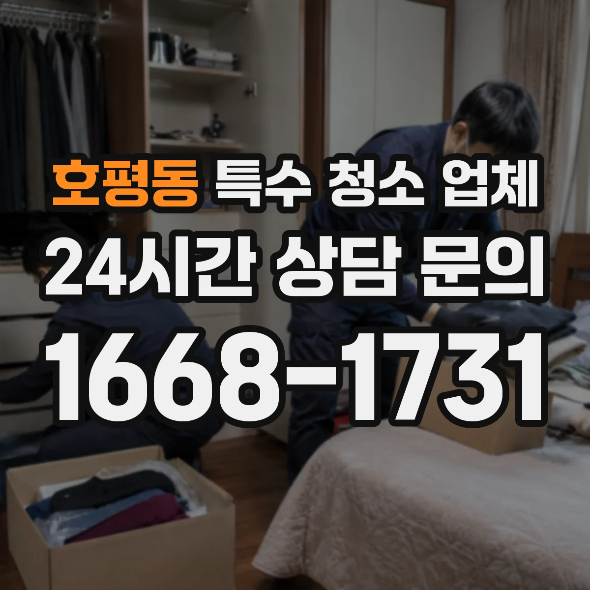 호평동 특수 청소 업체