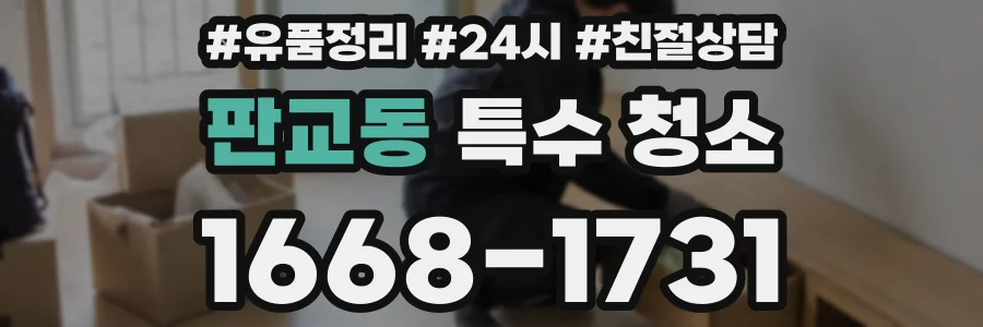 판교동 특수 청소