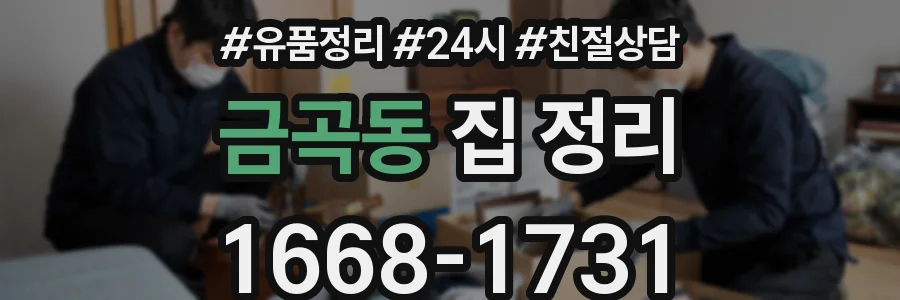 금곡동 집 정리