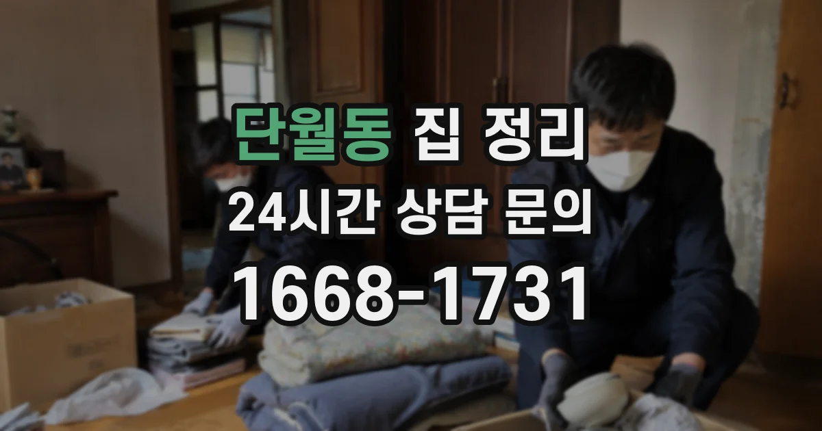 단월동 집 정리