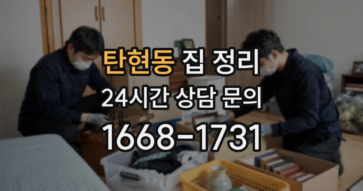 탄현동 집 정리