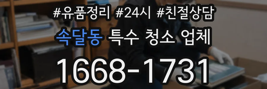 속달동 특수 청소 업체