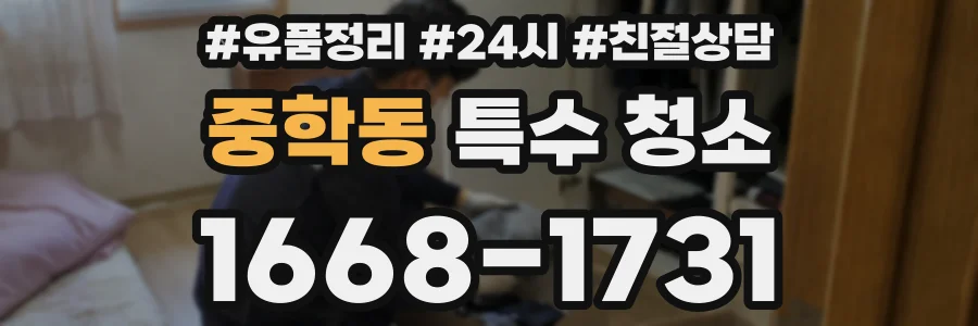 중학동 특수 청소