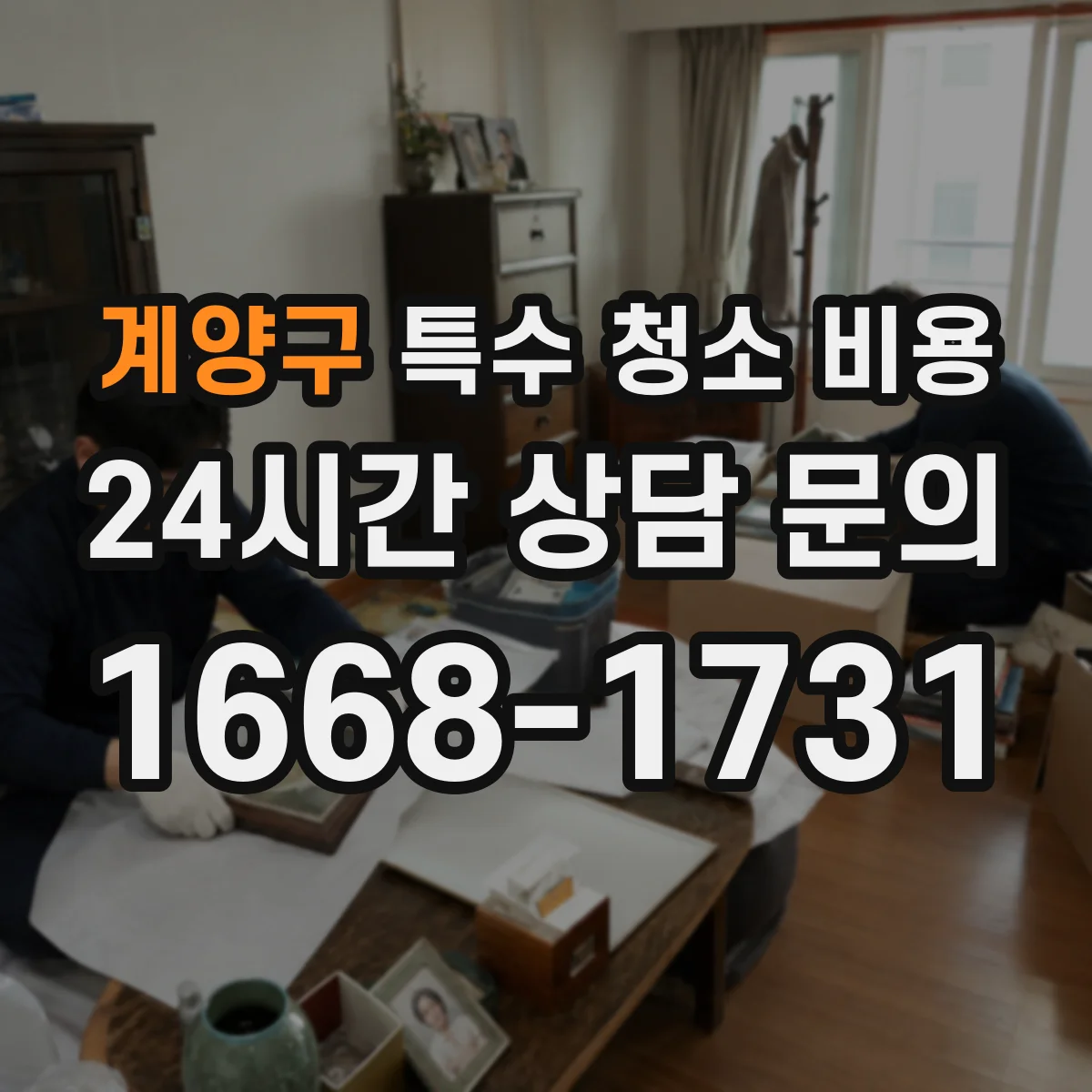 계양구 특수 청소 비용