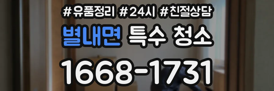 별내면 특수 청소