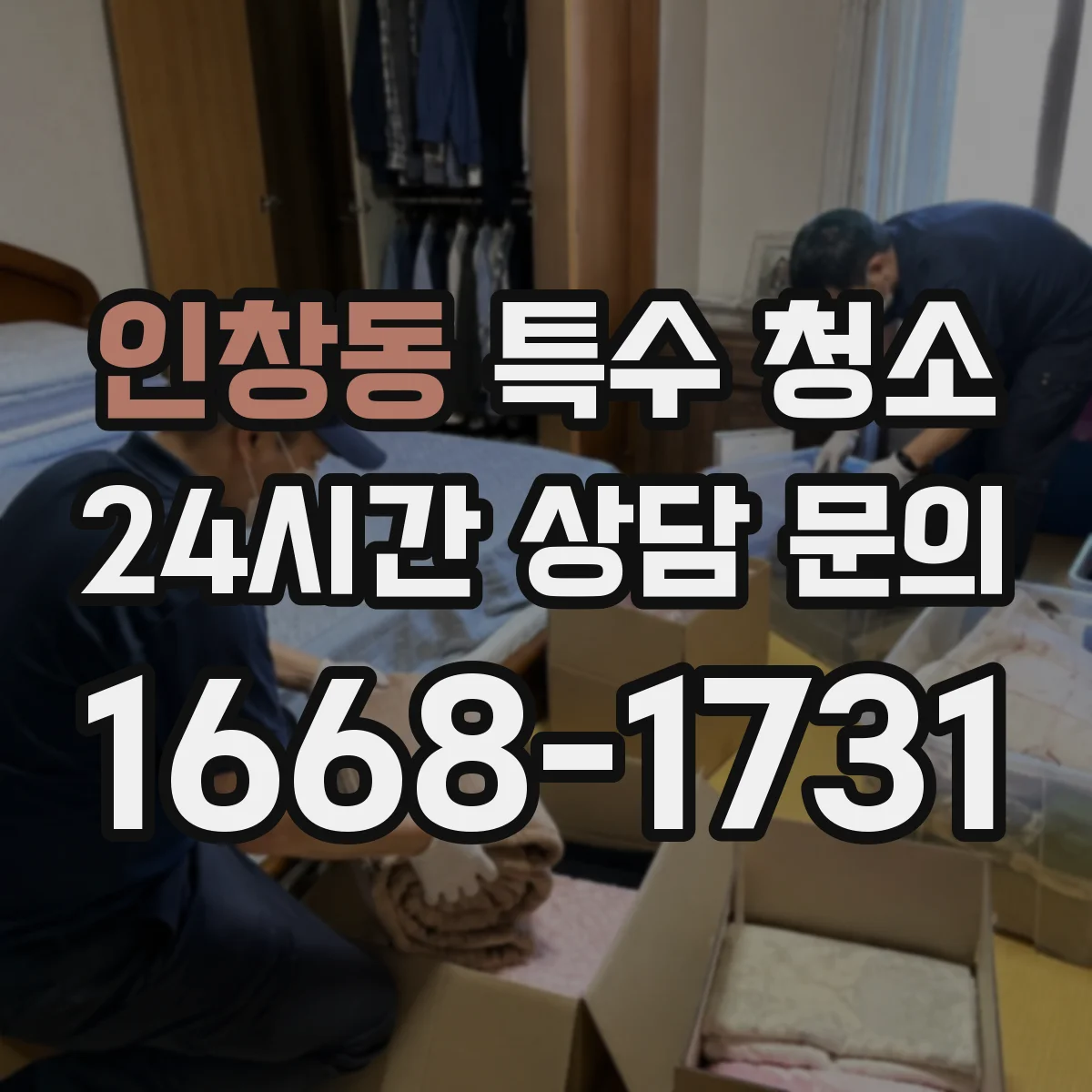 인창동 특수 청소