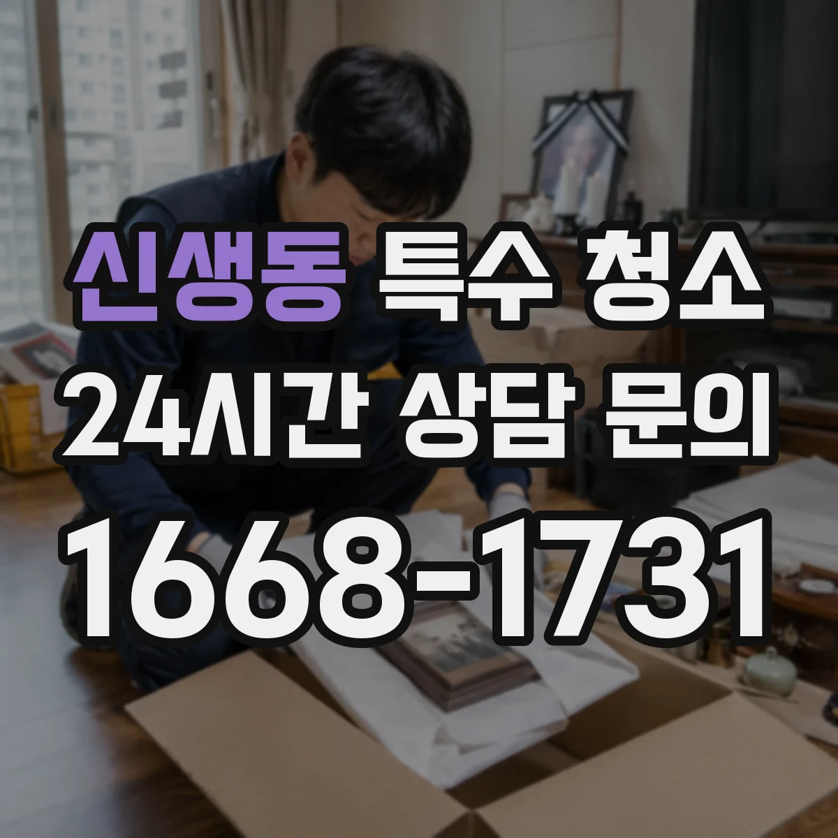 신생동 특수 청소