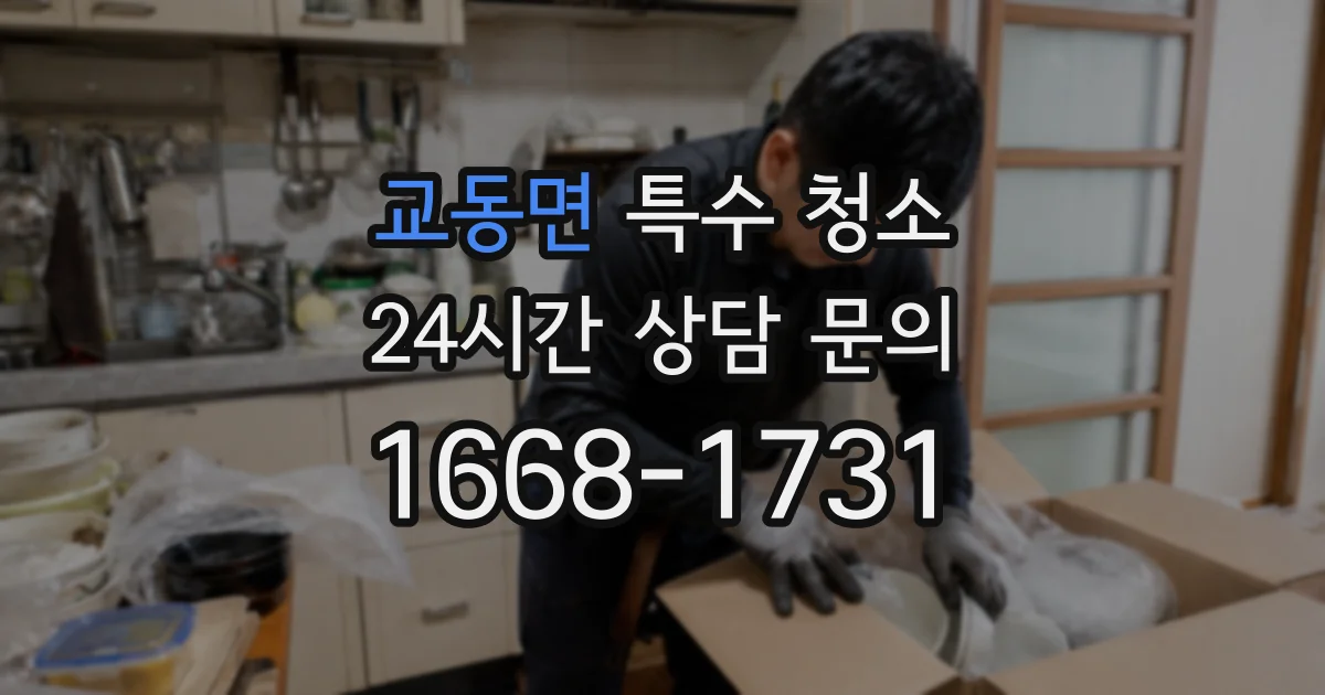 교동면 특수 청소
