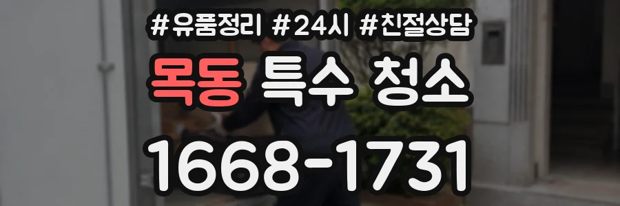 목동 특수 청소