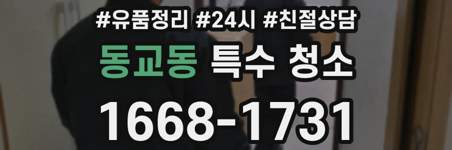 동교동 특수 청소