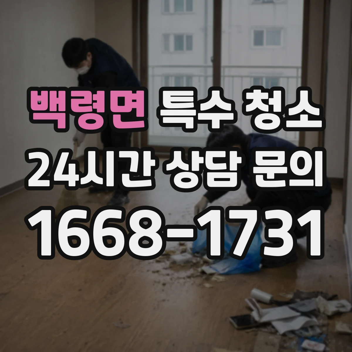 백령면 특수 청소
