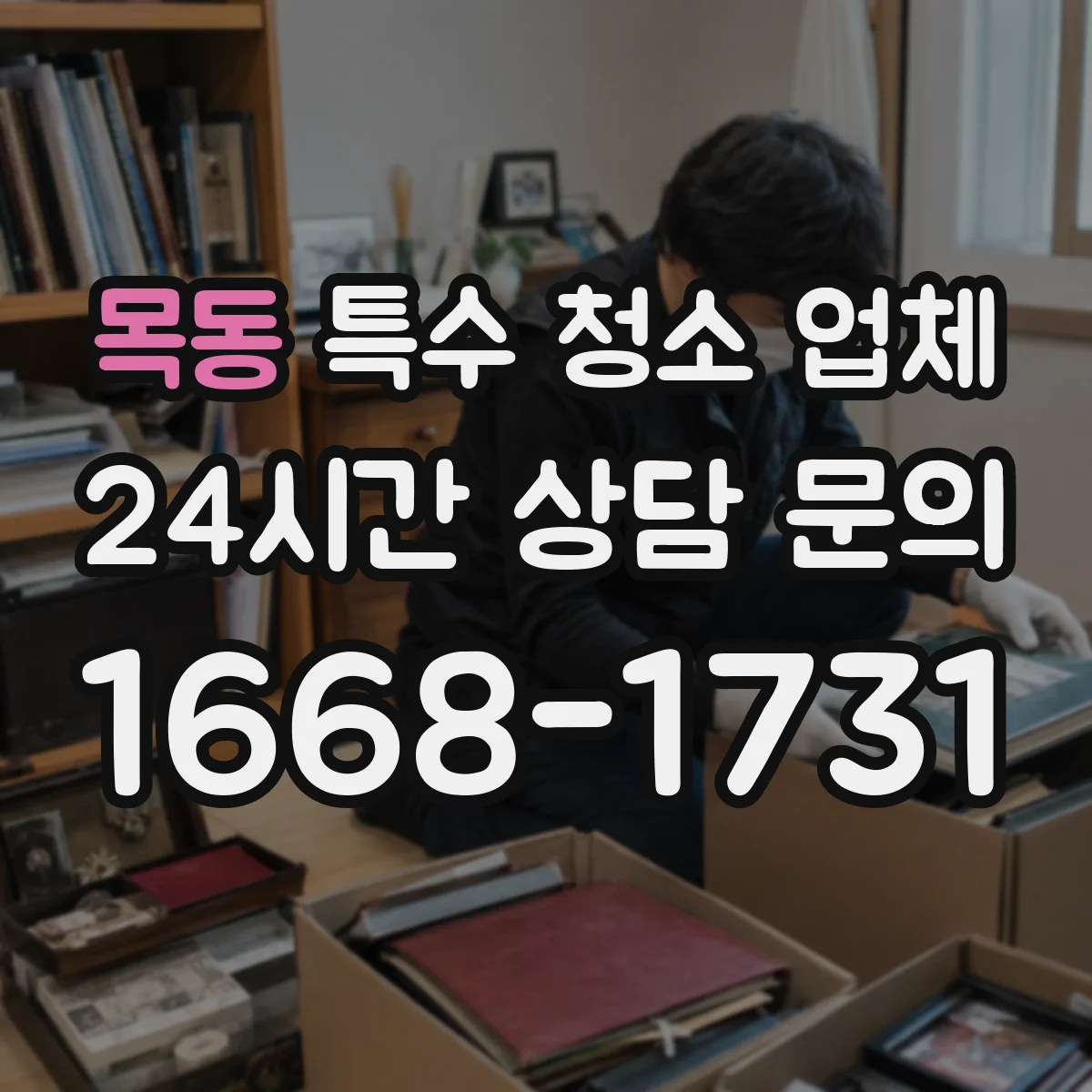 목동 특수 청소 업체