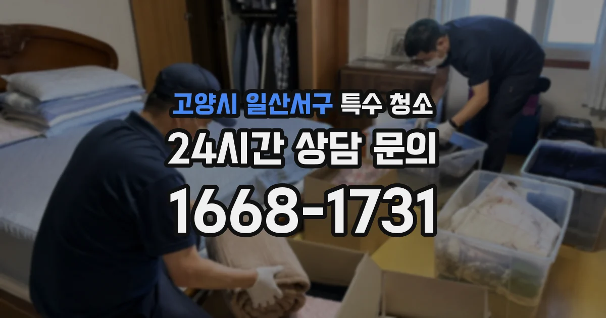 고양시 일산서구 특수 청소