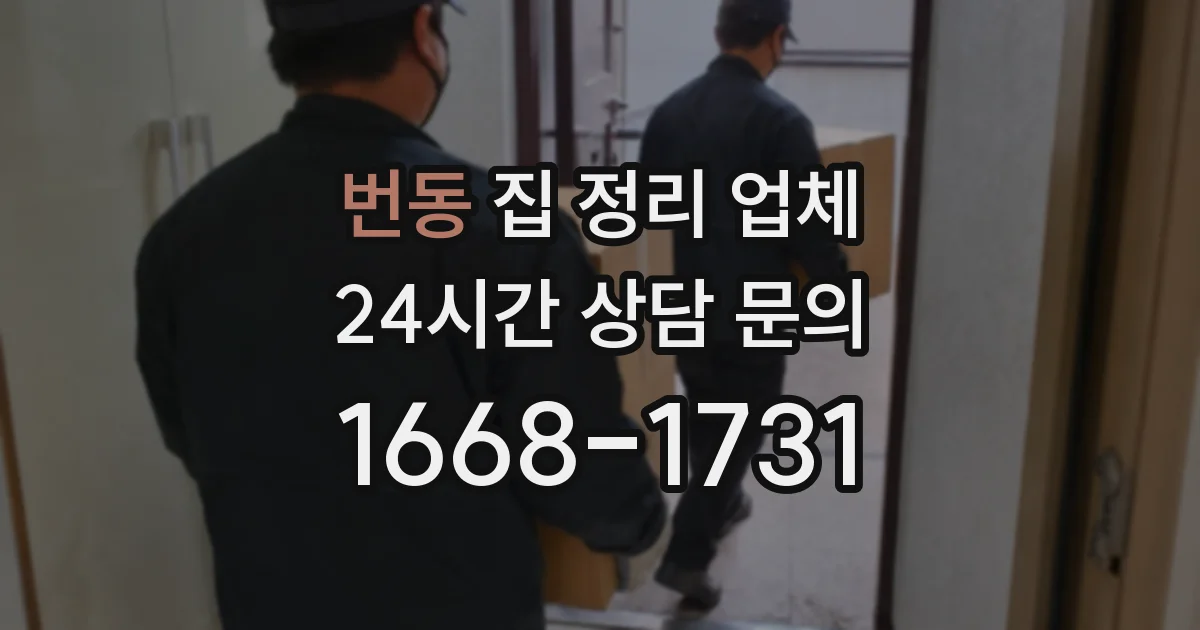 번동 집 정리 업체