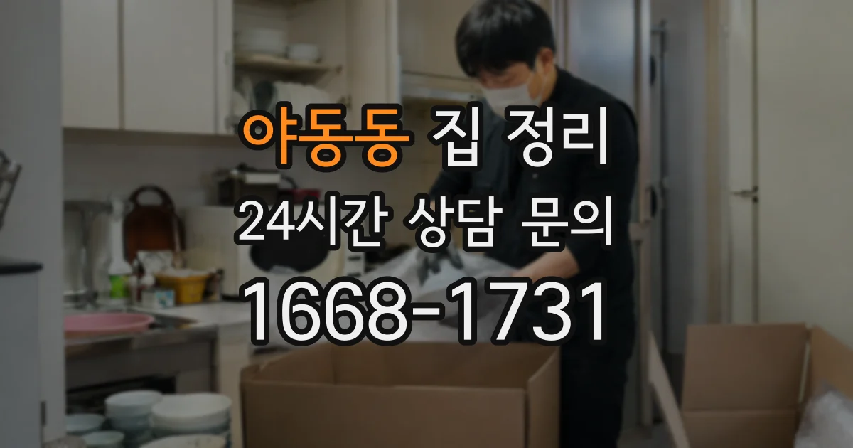 야동동 집 정리