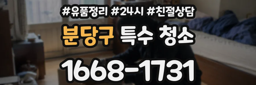 분당구 특수 청소