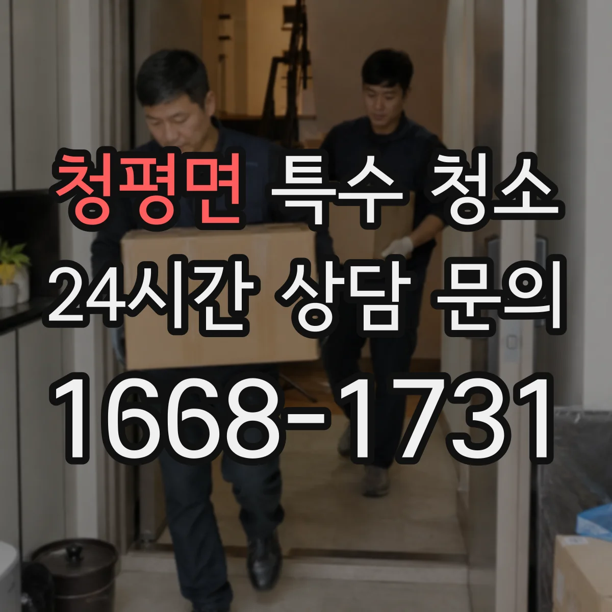 청평면 특수 청소